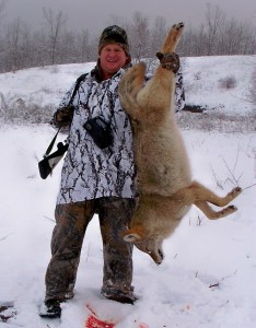 North Winter Coyote